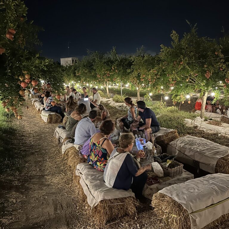 Pic nic tra i melograni